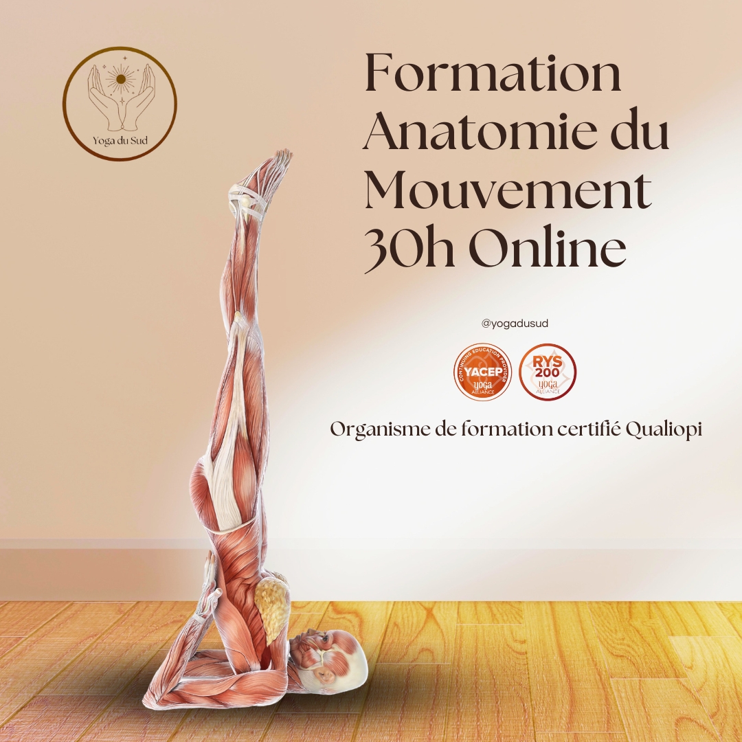 Anatomie et Yoga adapté 30H
